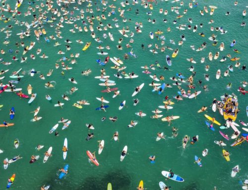 Listening with Our Eyes: The Ocean Visuals Exhibition at the Sydney Opera House